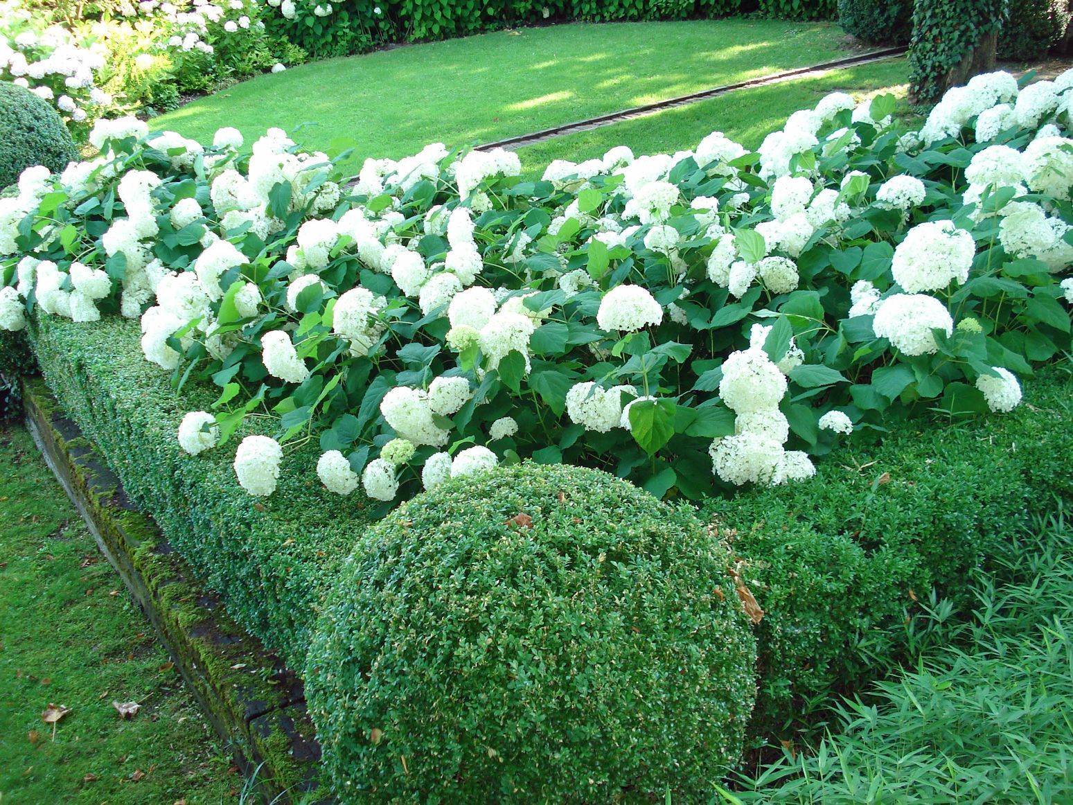 Massifs de fleurs - Martin et Martin SA – Jardiniers paysagistes à Collonge-Bellerive