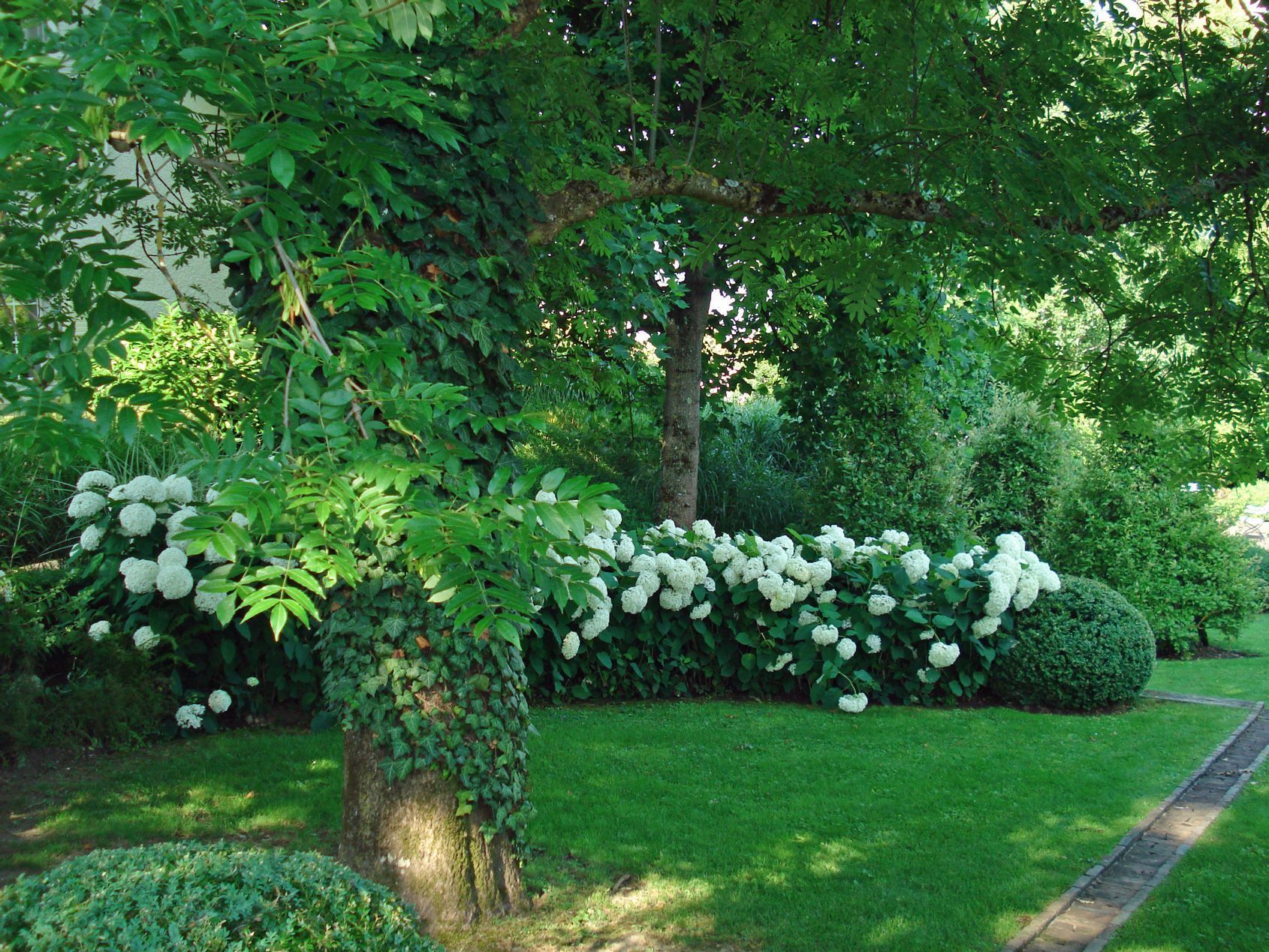 Martin et Martin SA – Jardiniers paysagistes à Collonge-Bellerive