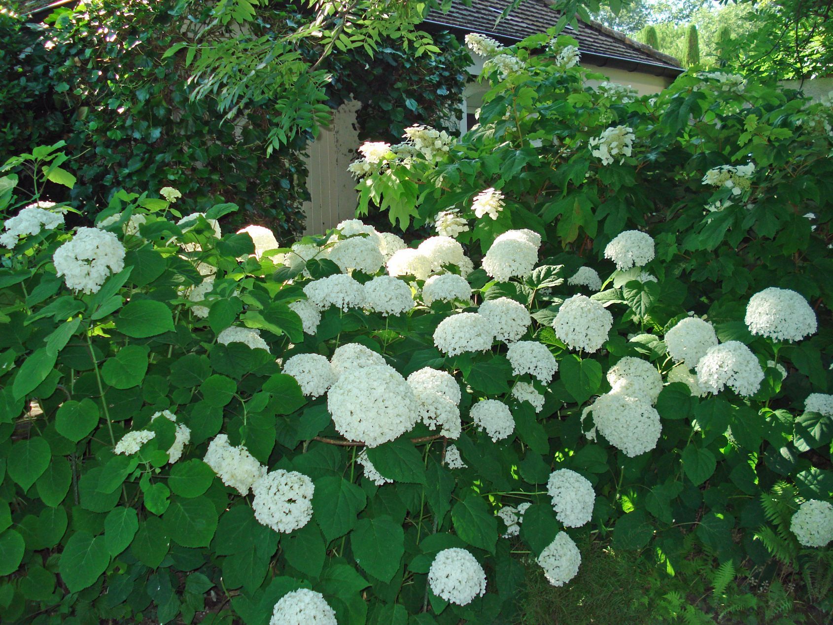 Martin et Martin SA – Jardiniers paysagistes à Collonge-Bellerive