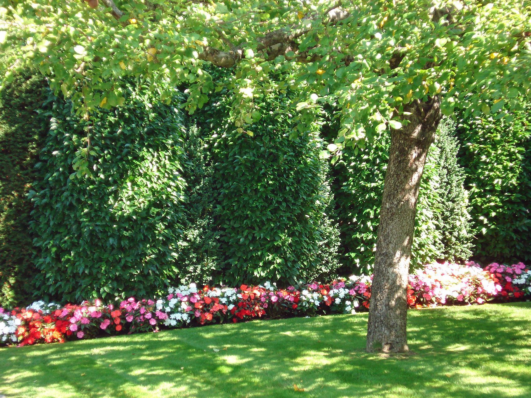 Martin et Martin SA – Jardiniers paysagistes à Collonge-Bellerive