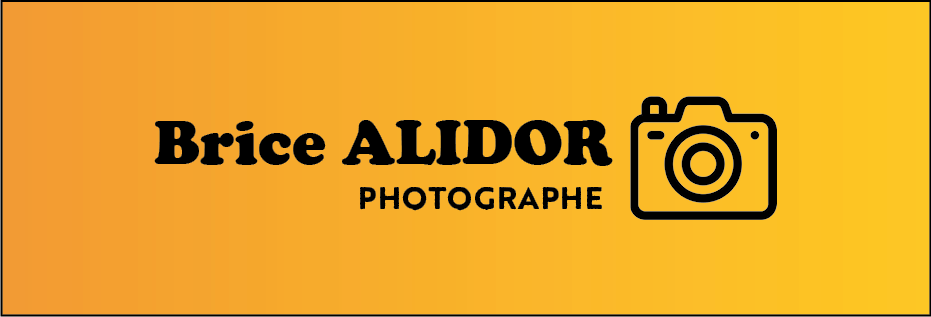 Logo Brice Alidor