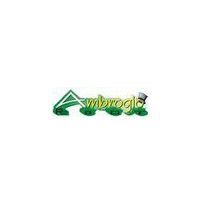 Ambrogio