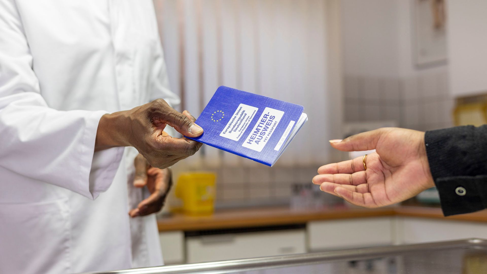 Ein Arzt gibt einem Patienten ein blaues Buch.