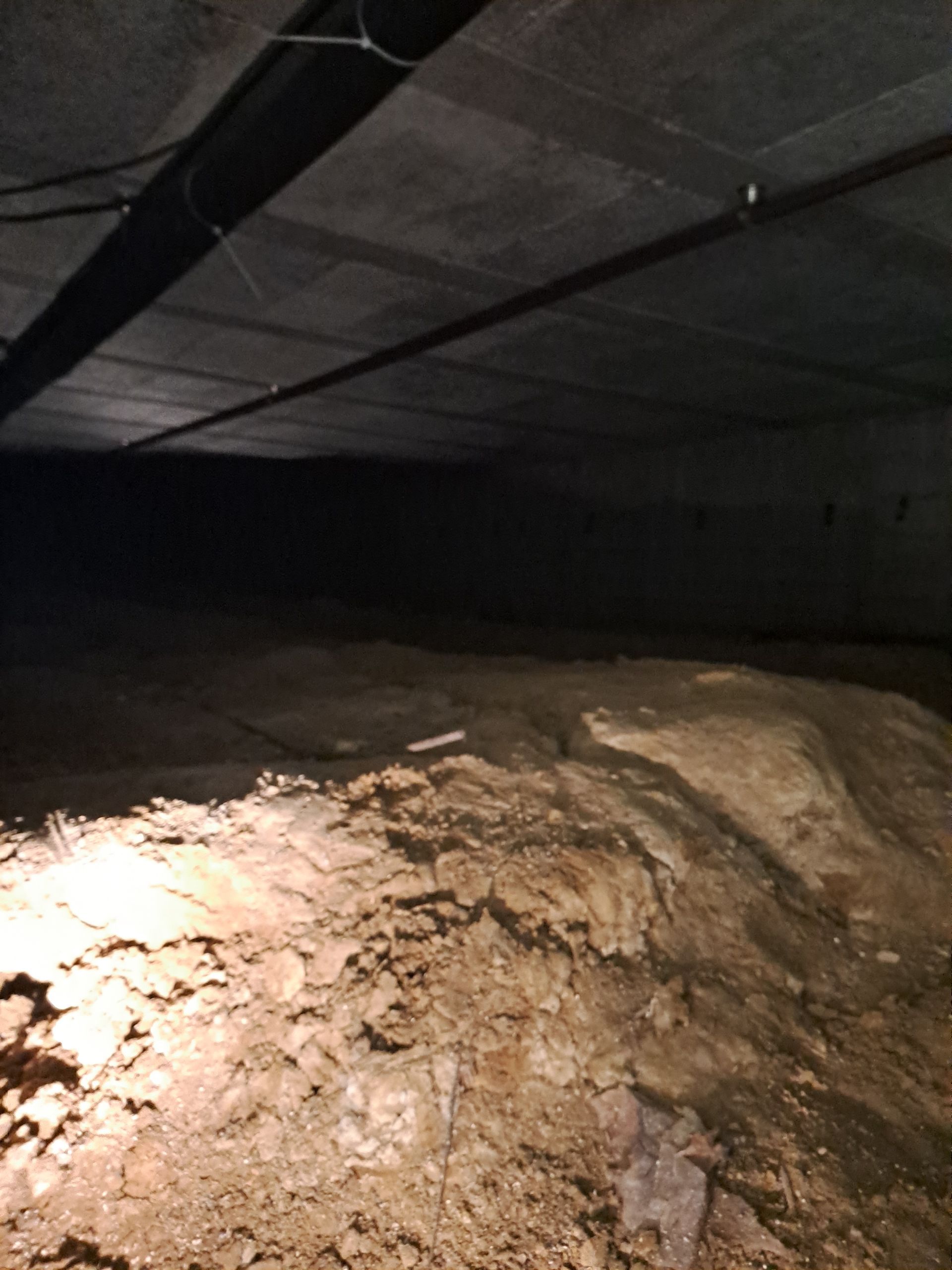 l'espace en terre libérré après l'intervention de débarasseurs