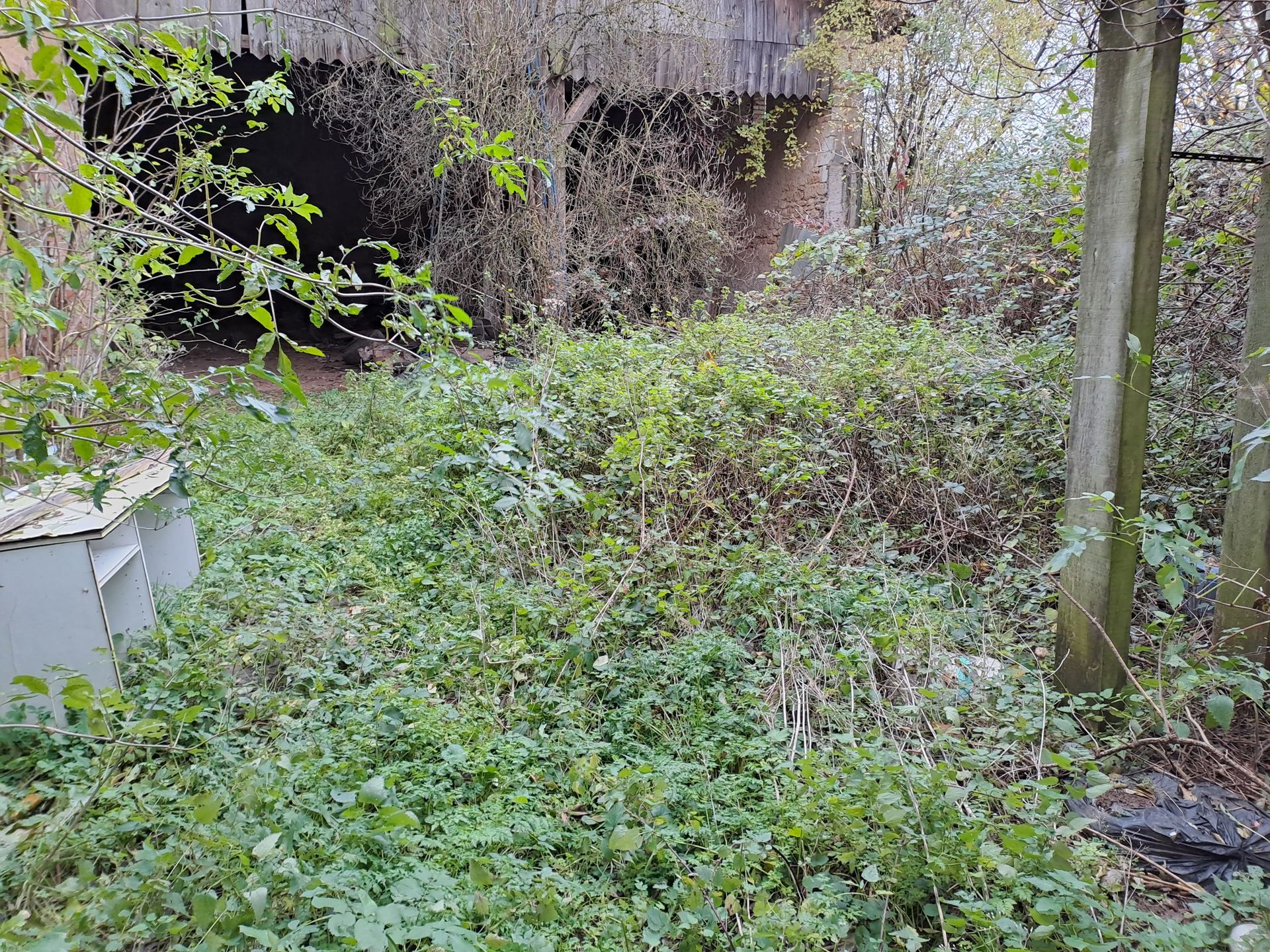 Espace extérieur à débarrasser avec des déchets végétaux