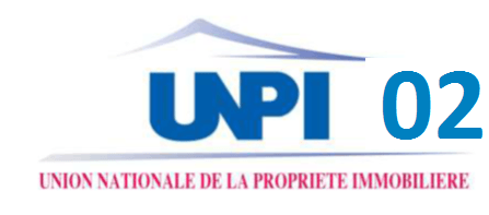 Log UNPI02.png