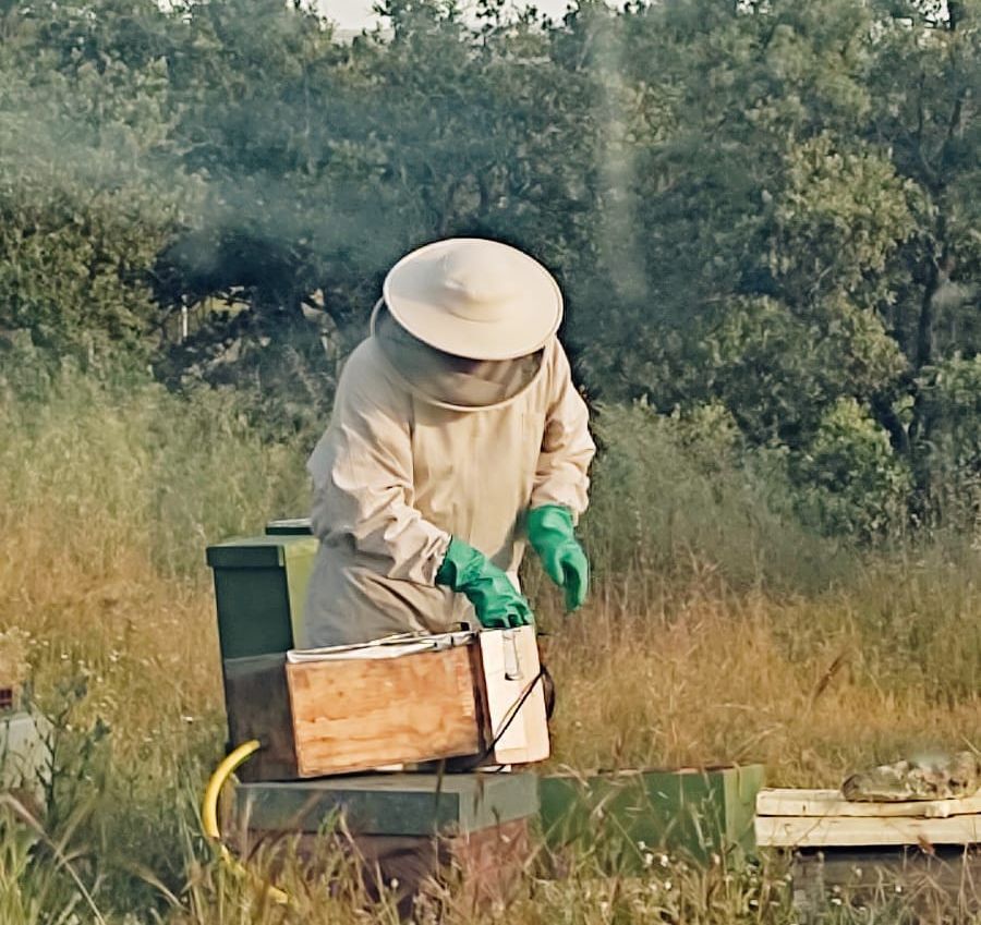 Un apicultor con sombrero y guantes está trabajando en una colmena.
