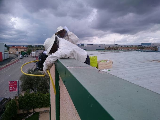 Un hombre con un traje de abeja está trabajando en el costado de un edificio.