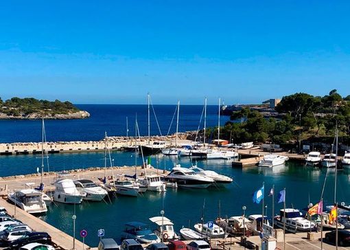 Un puerto deportivo lleno de barcos y coches en un día soleado.