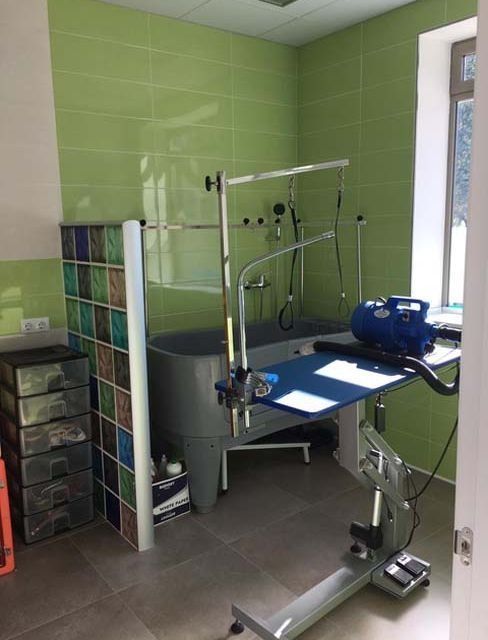 Una habitación con una mesa y una bañera dentro.