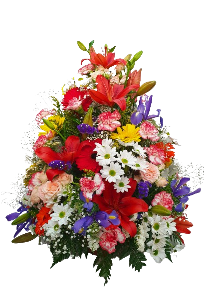 Un ramo de flores de colores sobre un fondo blanco.