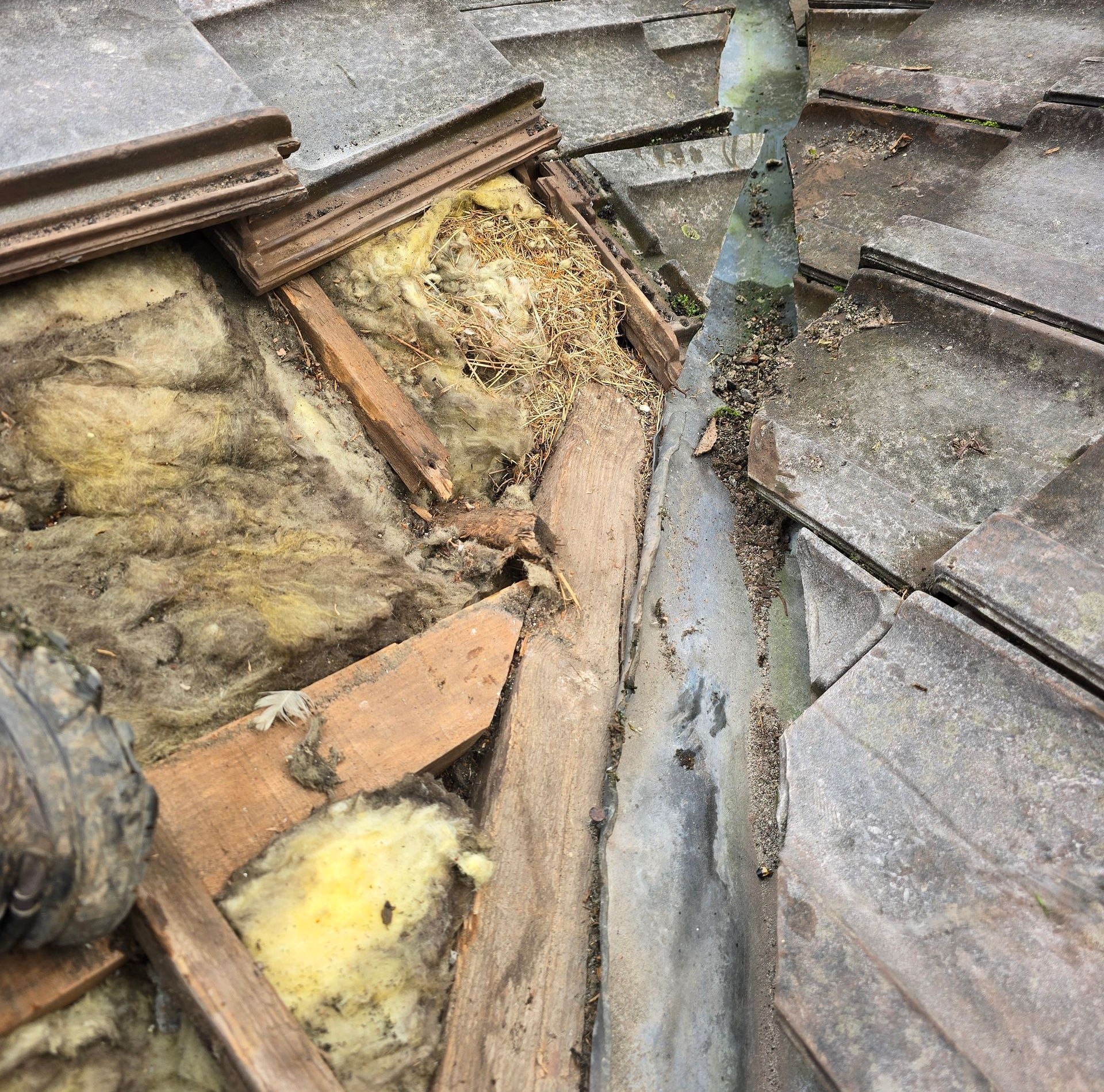 Toiture endommagée avec isolation exposée et débris dans une noue ; présence d’eau.