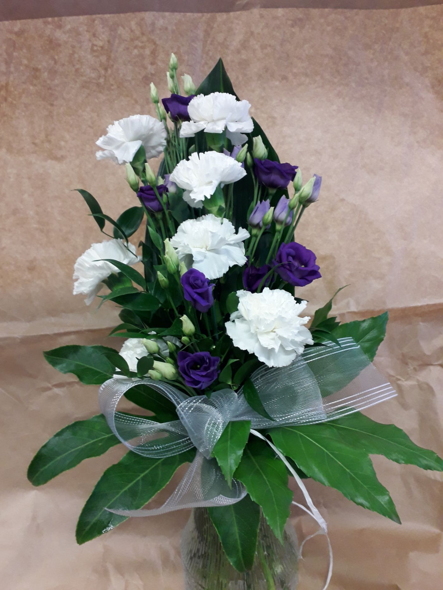 Tmi Helena Lautamatti