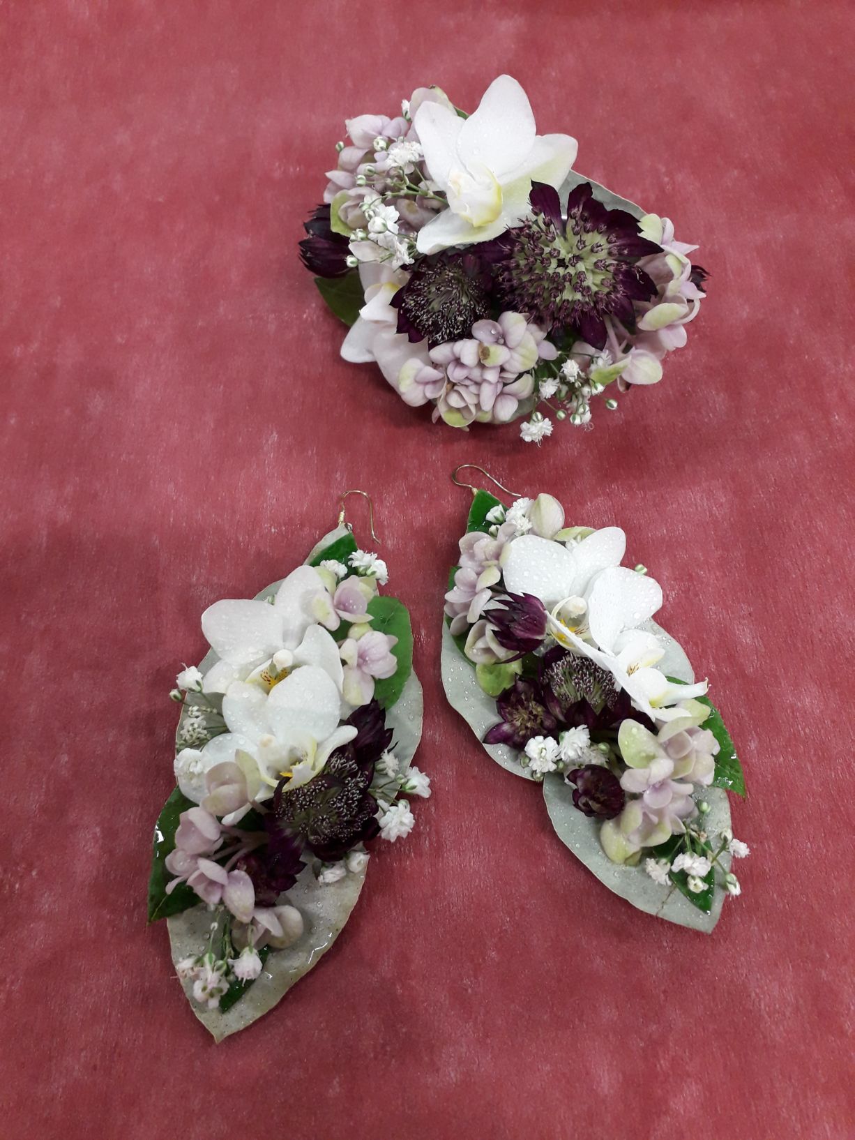 Tmi Helena Lautamatti