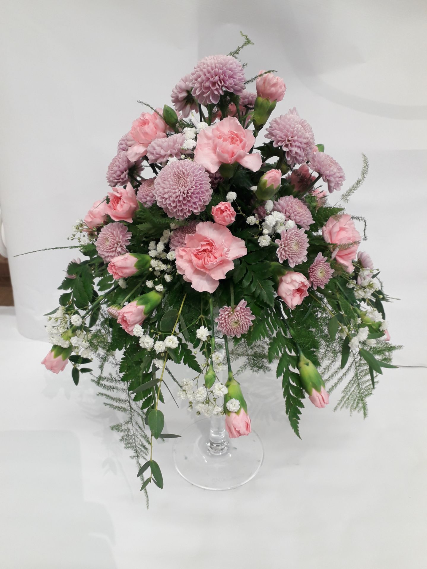 Tmi Helena Lautamatti