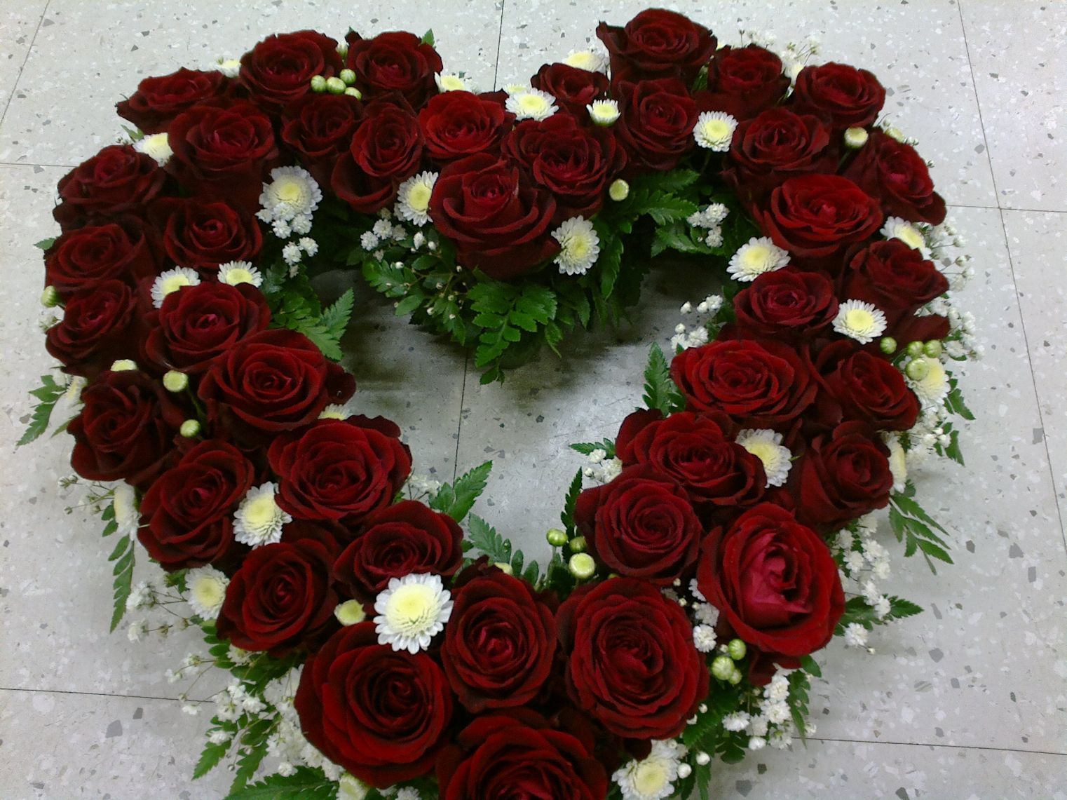 Tmi Helena Lautamatti