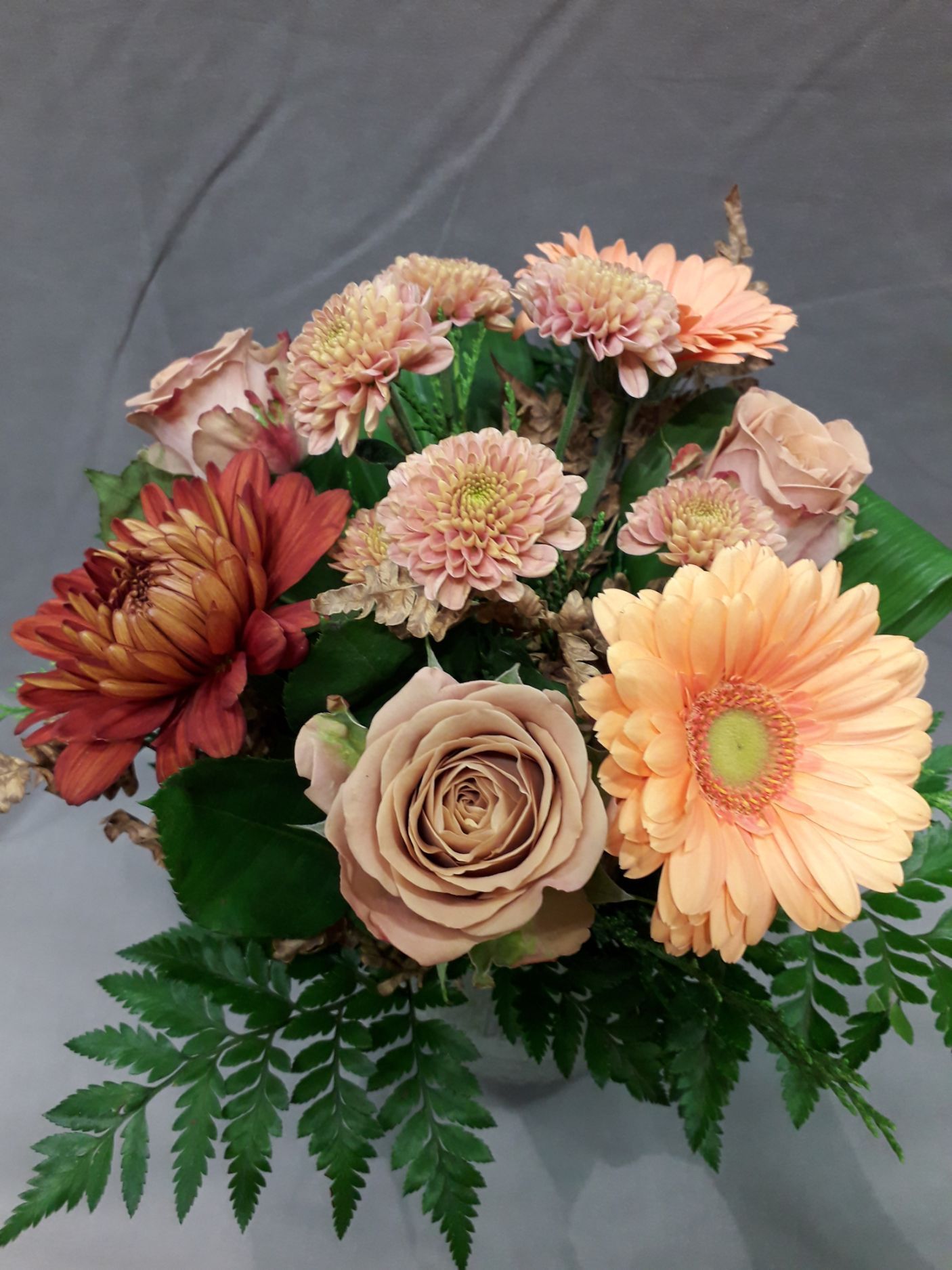 Tmi Helena Lautamatti