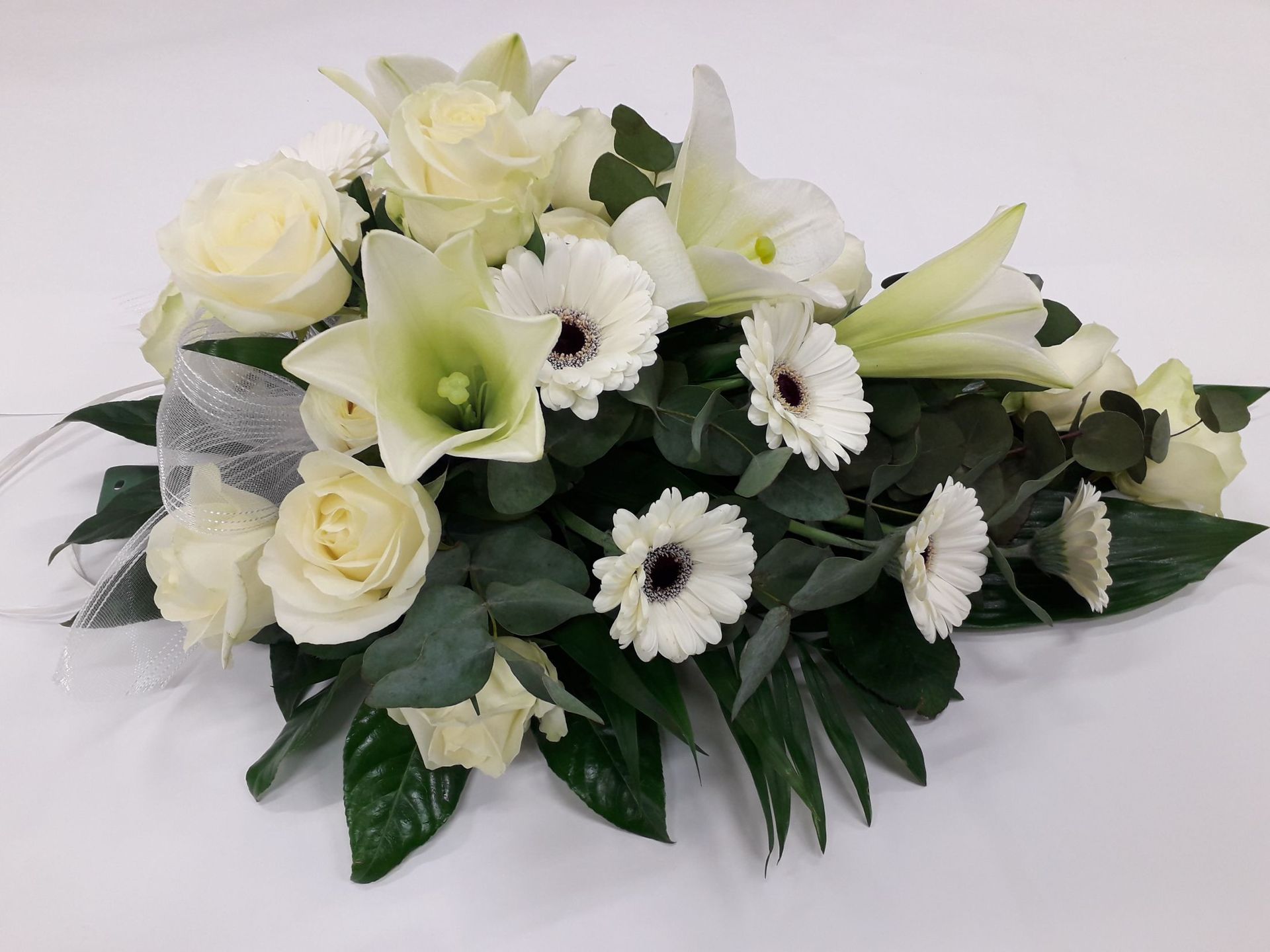 Tmi Helena Lautamatti