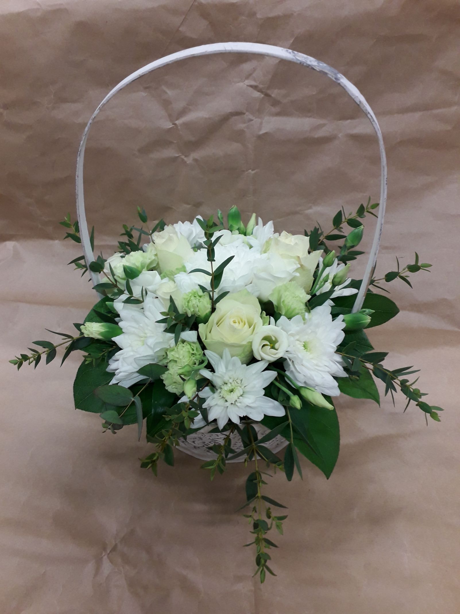 Tmi Helena Lautamatti