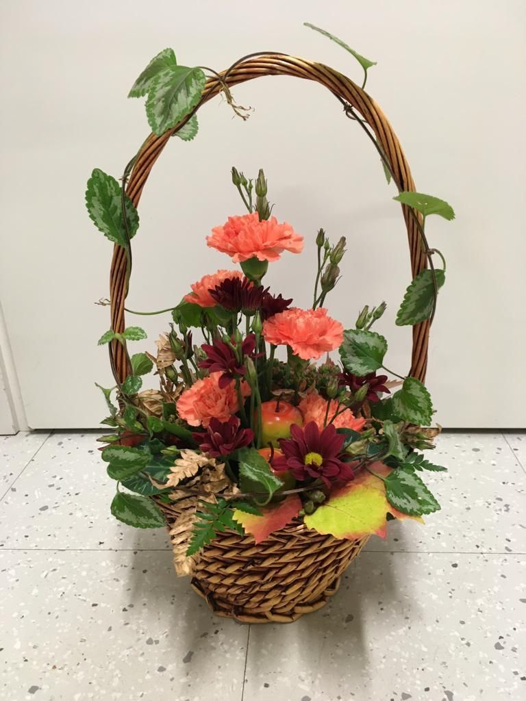 Tmi Helena Lautamatti