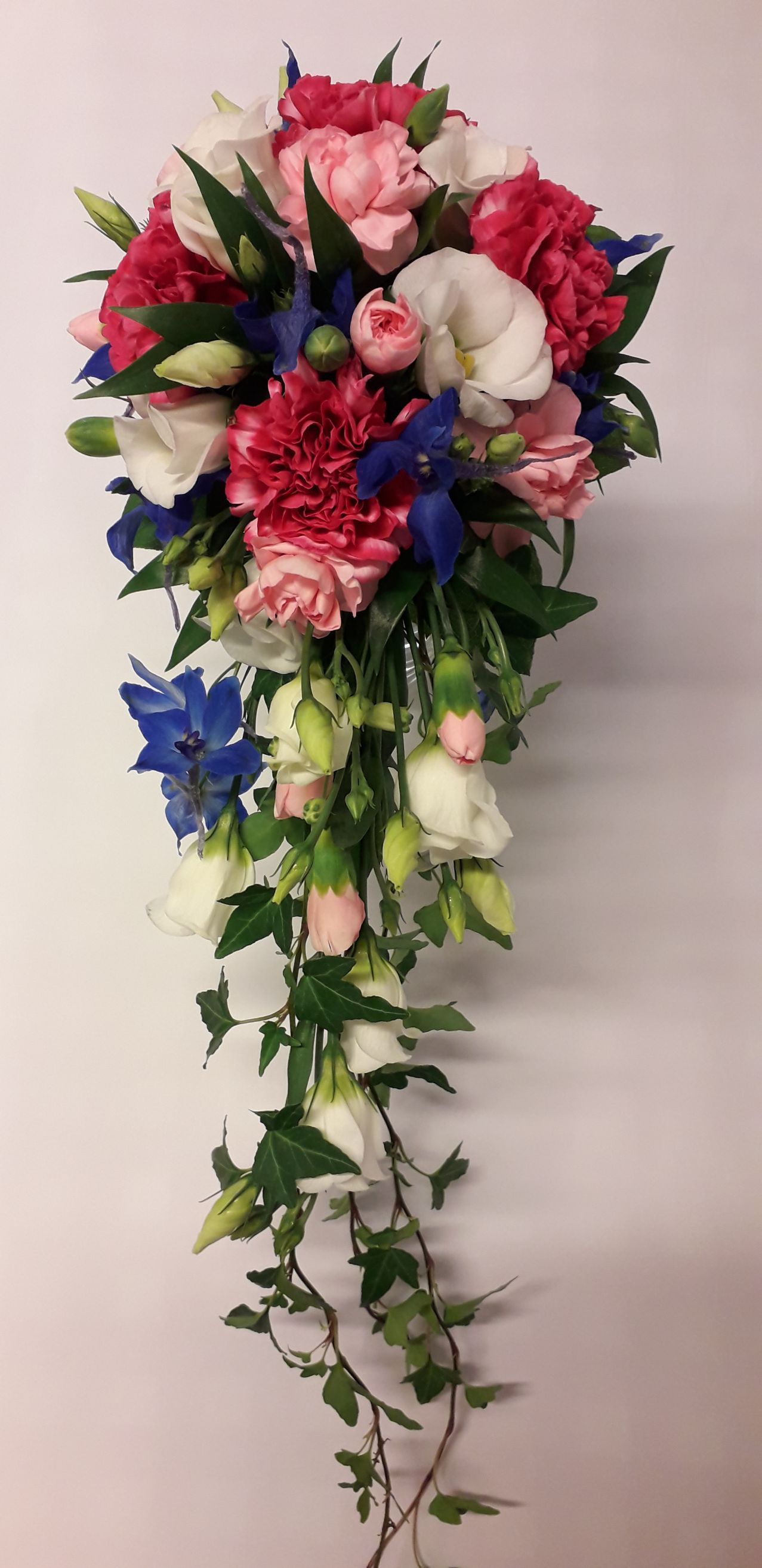 Tmi Helena Lautamatti