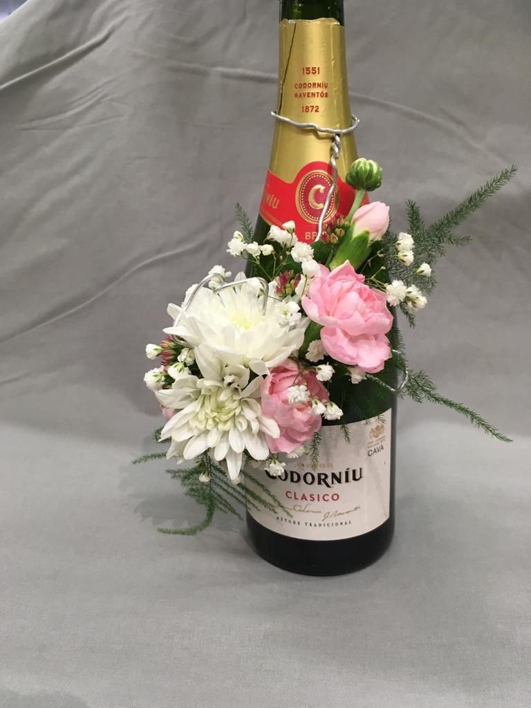 Tmi Helena Lautamatti