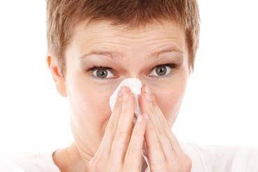 allergie