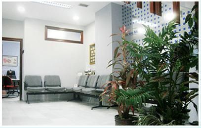 Sala de espera moderna con sillas grises, paredes blancas y una gran planta frondosa en primer plano.