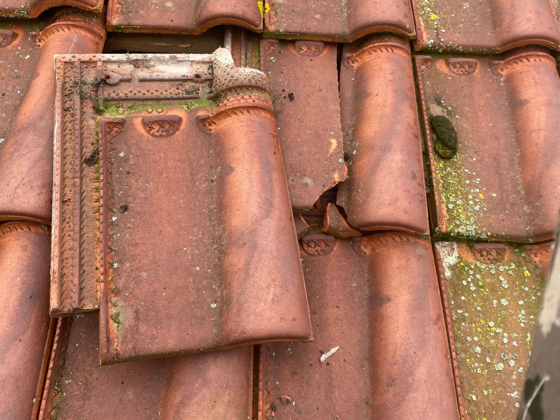 Une tuile en terre cuite.