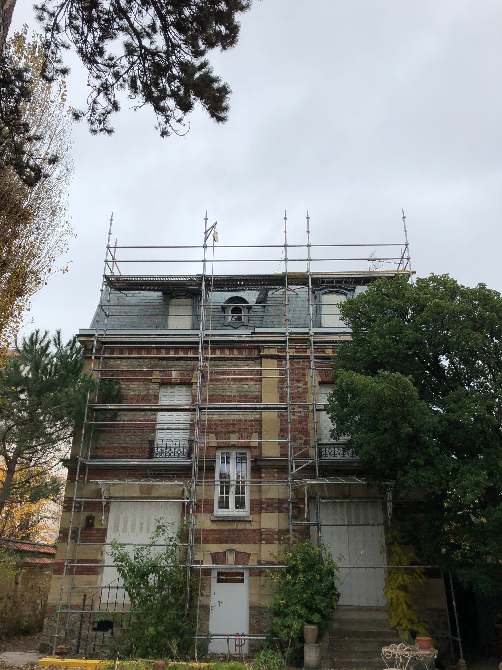 Un échafaudage et un arbre.