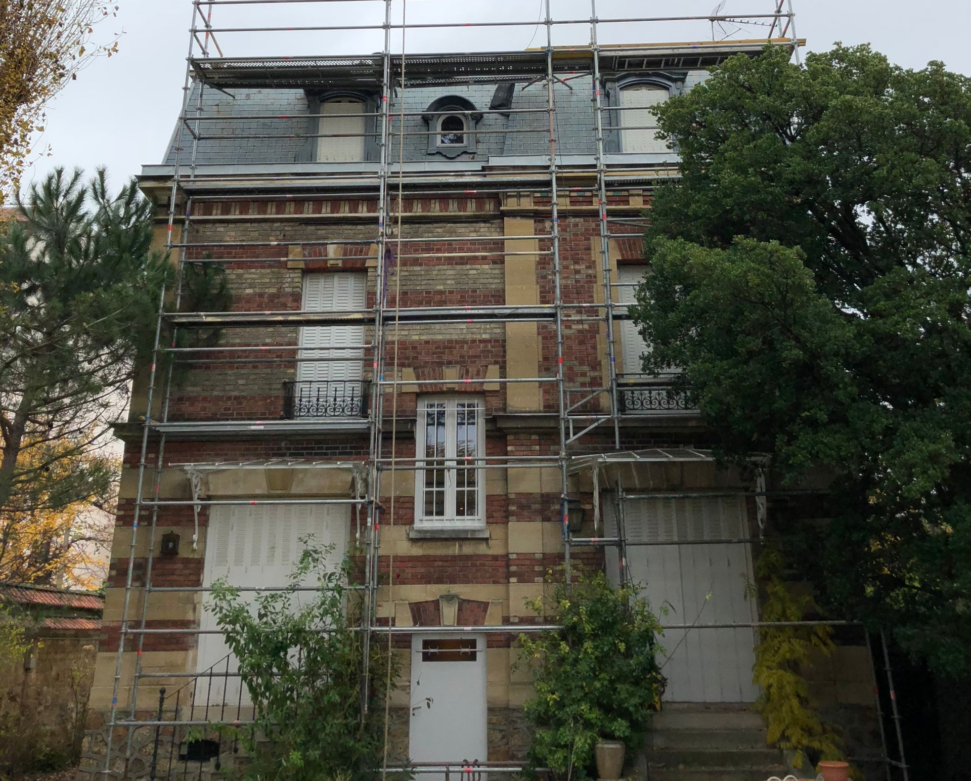 Un échafaudage et un arbre.