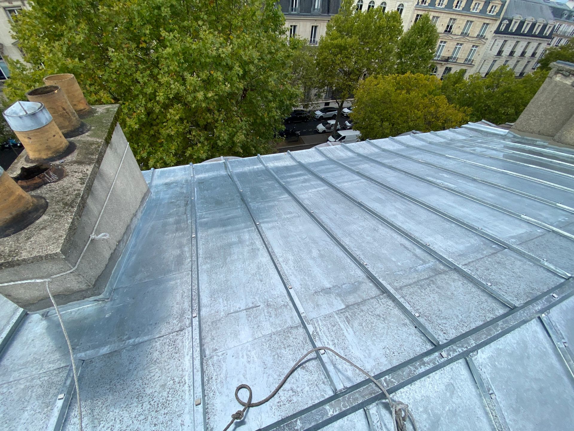 Une toiture en zinc et des arbres.