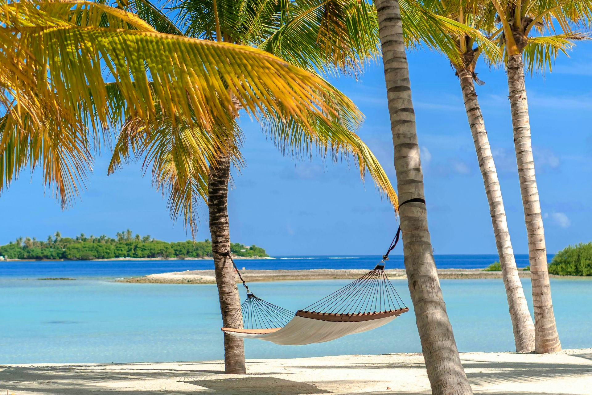 Hammock strung between palm trees on a white sandy beach, turquoise water, blue sky.