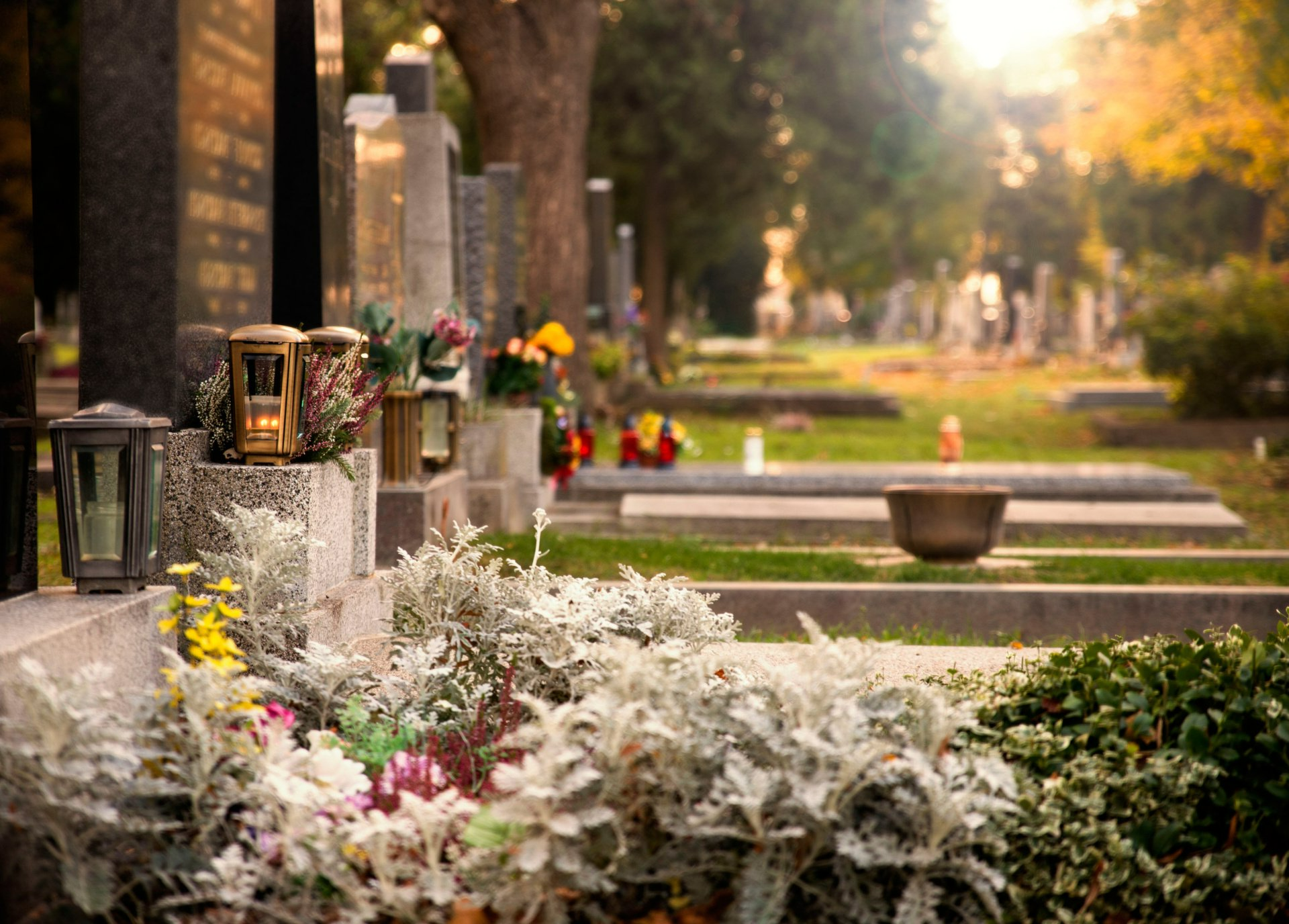 Pot de fleurs naturelles sur une pierre tombale