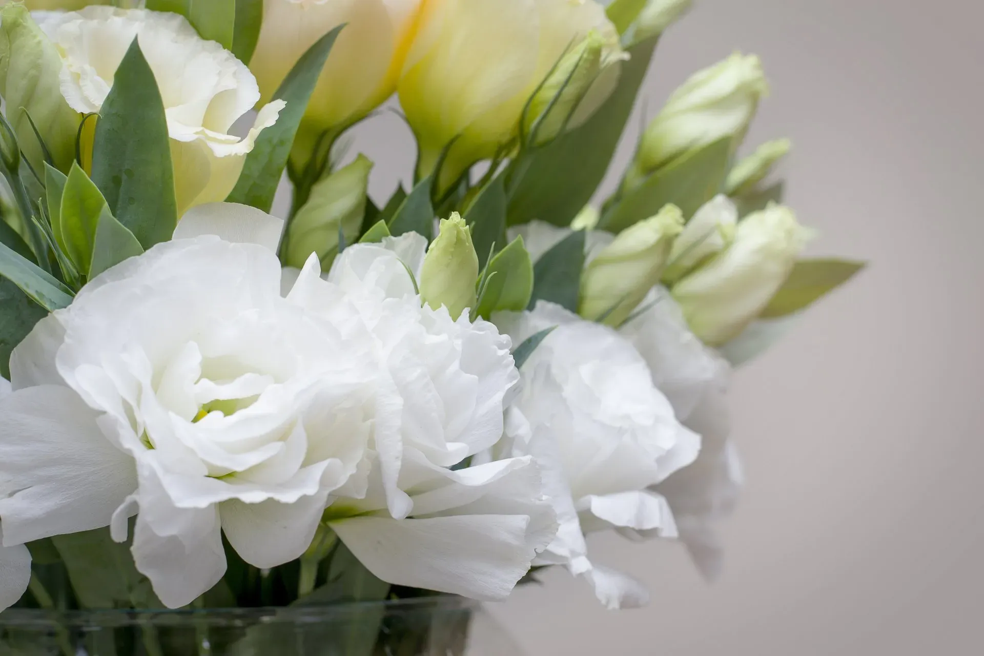 Fleurs artificielles