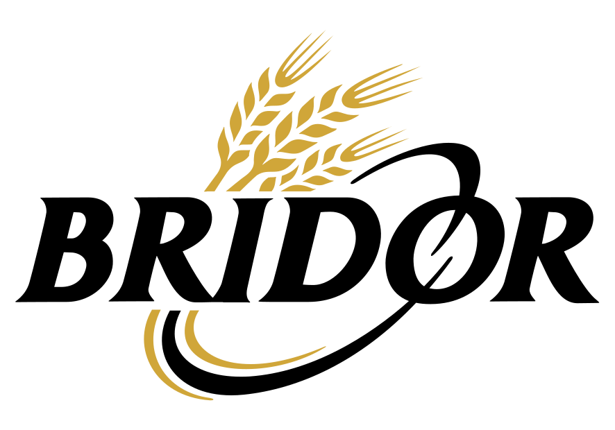 Logo Bridor