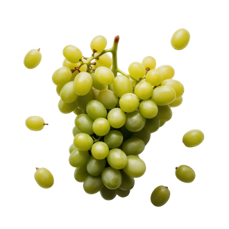 Grappe de raisins verts fraîchement récoltés