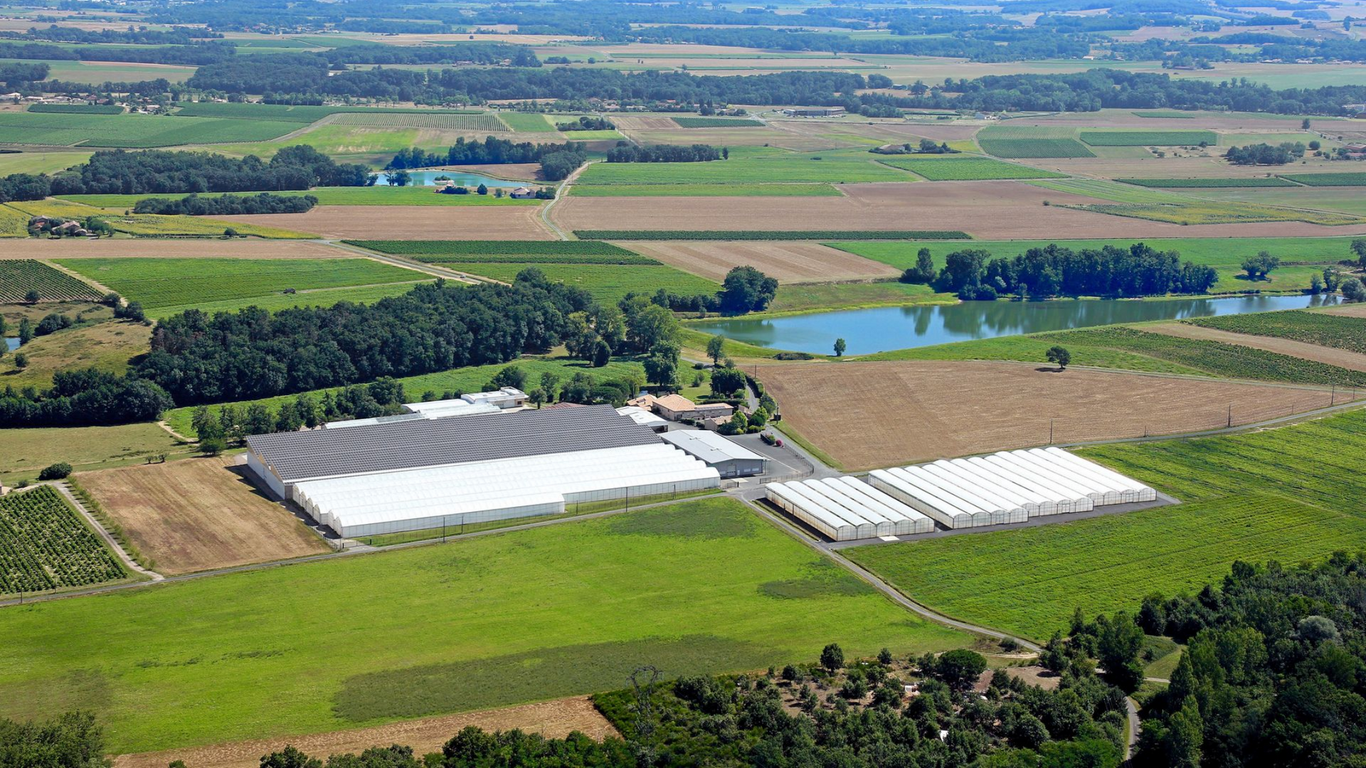 Vue aérienne de serres et de champs agricoles entourés de végétation