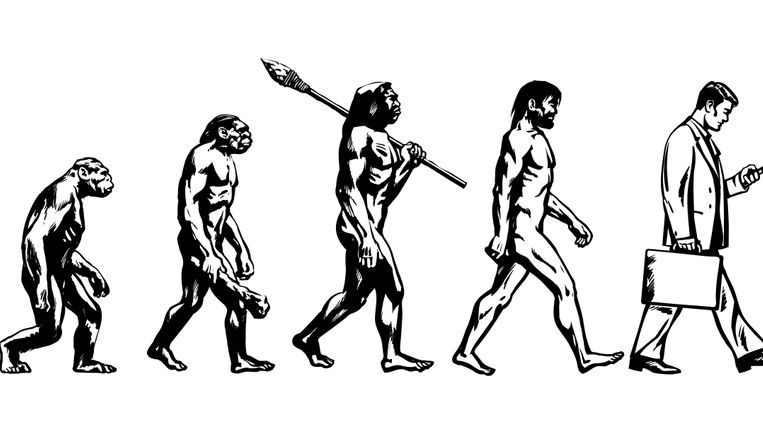 fugen geschichte - hans mertlitz ag - adliswil