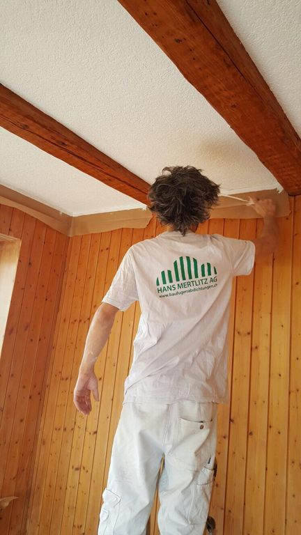 maler - hans mertlitz ag - adliswil