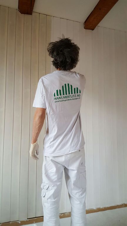 malerarbeiten 1 - hans mertlitz ag - adliswil