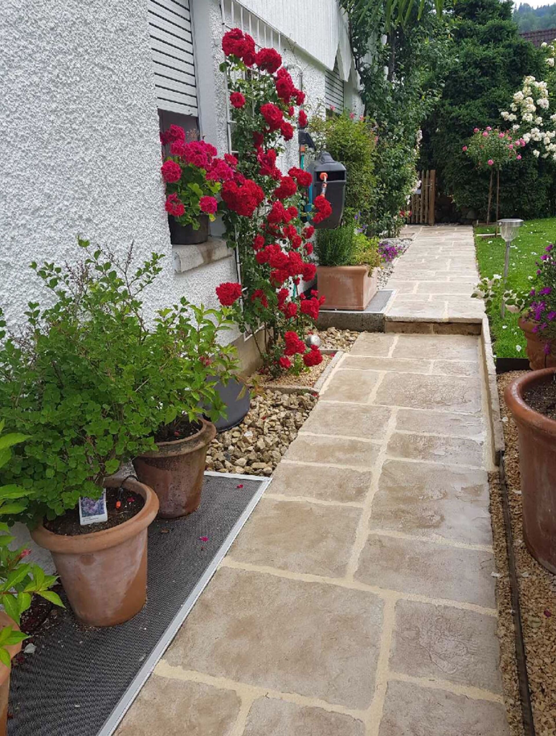 zementfugen 1 - hans mertlitz ag - adliswil