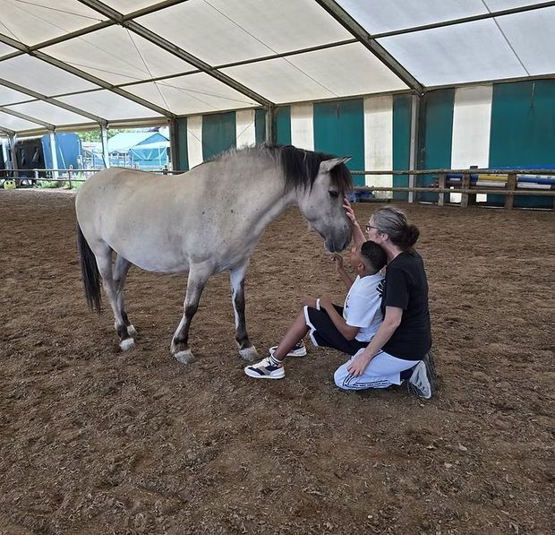 Enfant portant un chapeau de cow-boy noir enlaçant un cheval brun à l'extérieur