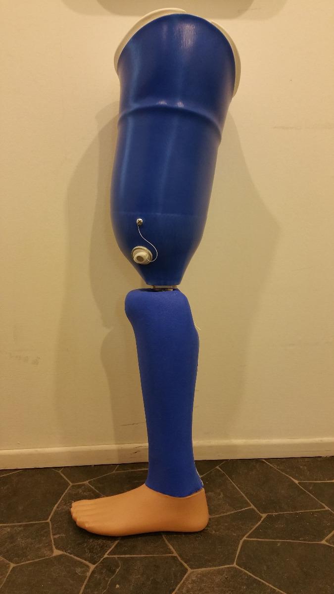 Prothèse de bain fémorale 