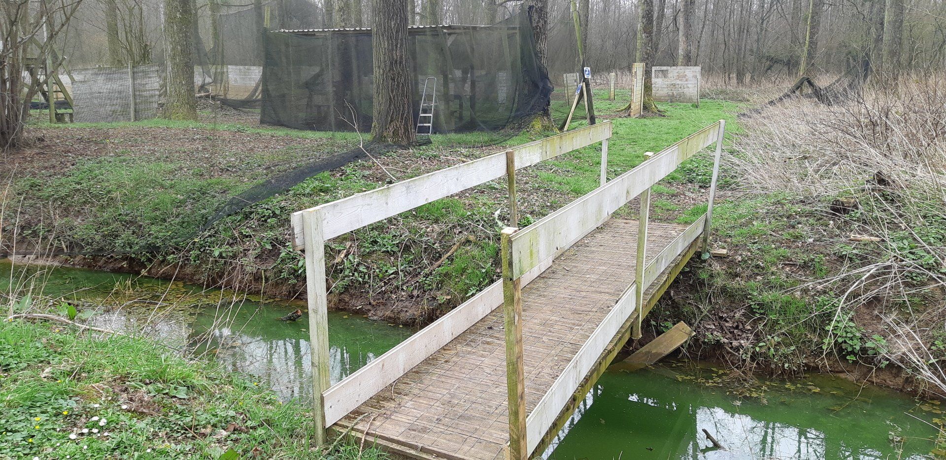 Passerelle en bois