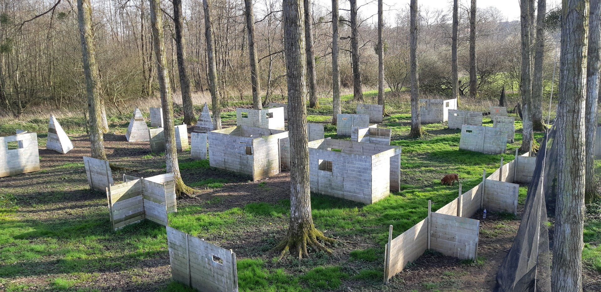Vue de haut du champ