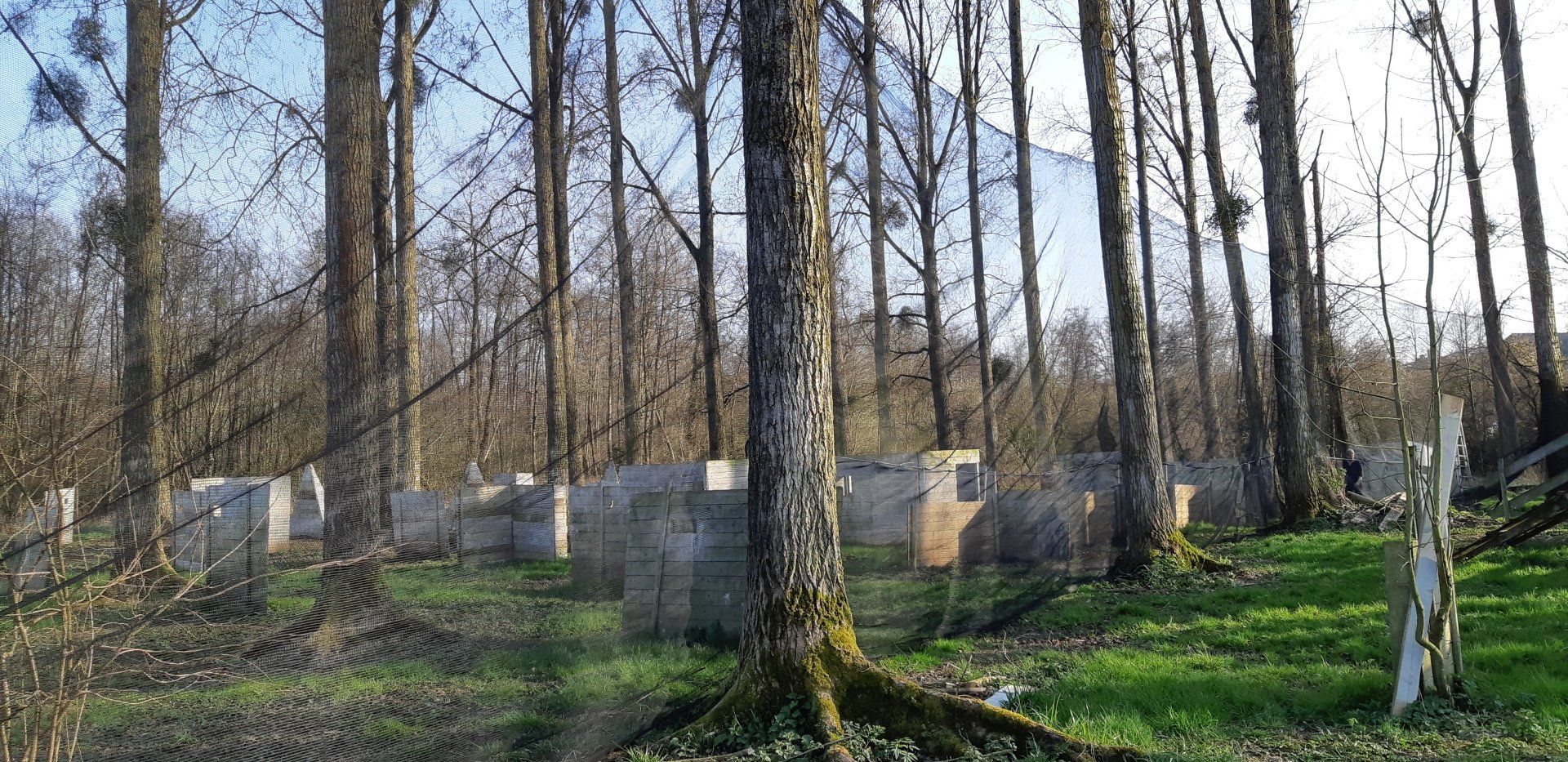 Un terrain de paintball dans une zone boisée avec des bunkers en béton, de l'herbe verte et de grands arbres dénudés.