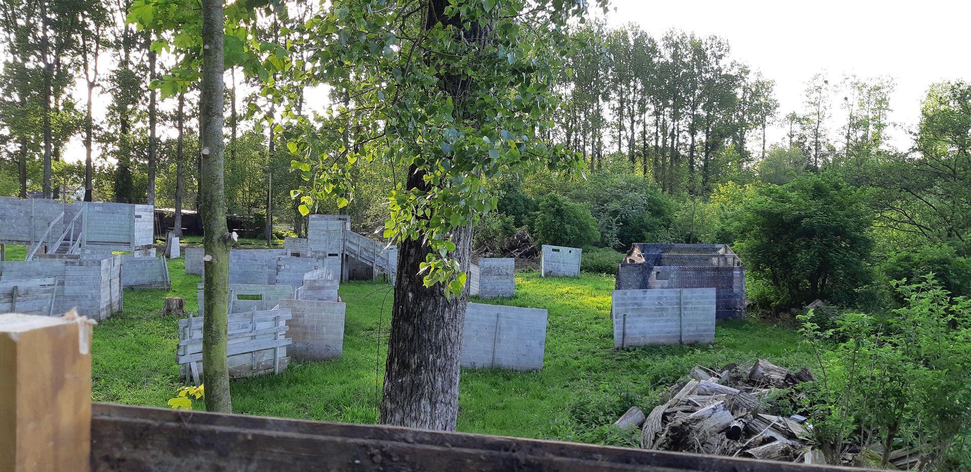 Un terrain de paintball avec des bunkers en béton gris sur une pelouse verte entourée d'arbres.