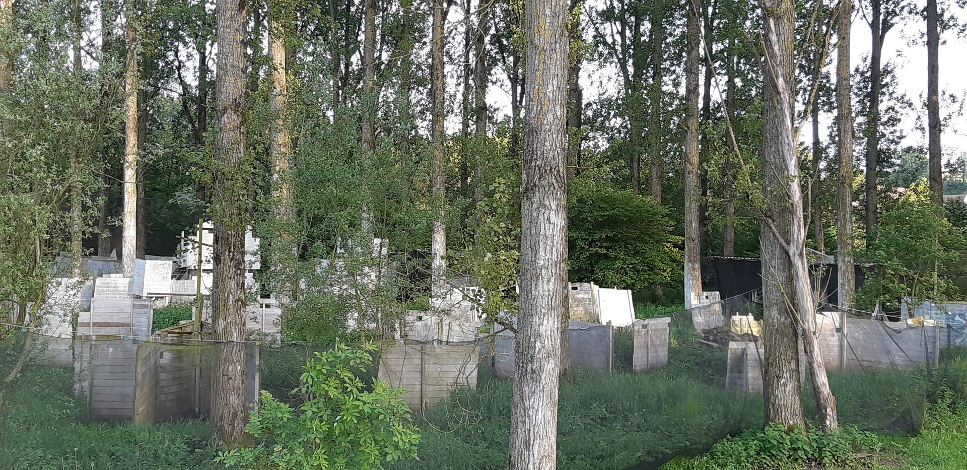 Terrain de paintball avec bunkers en béton et arbres.