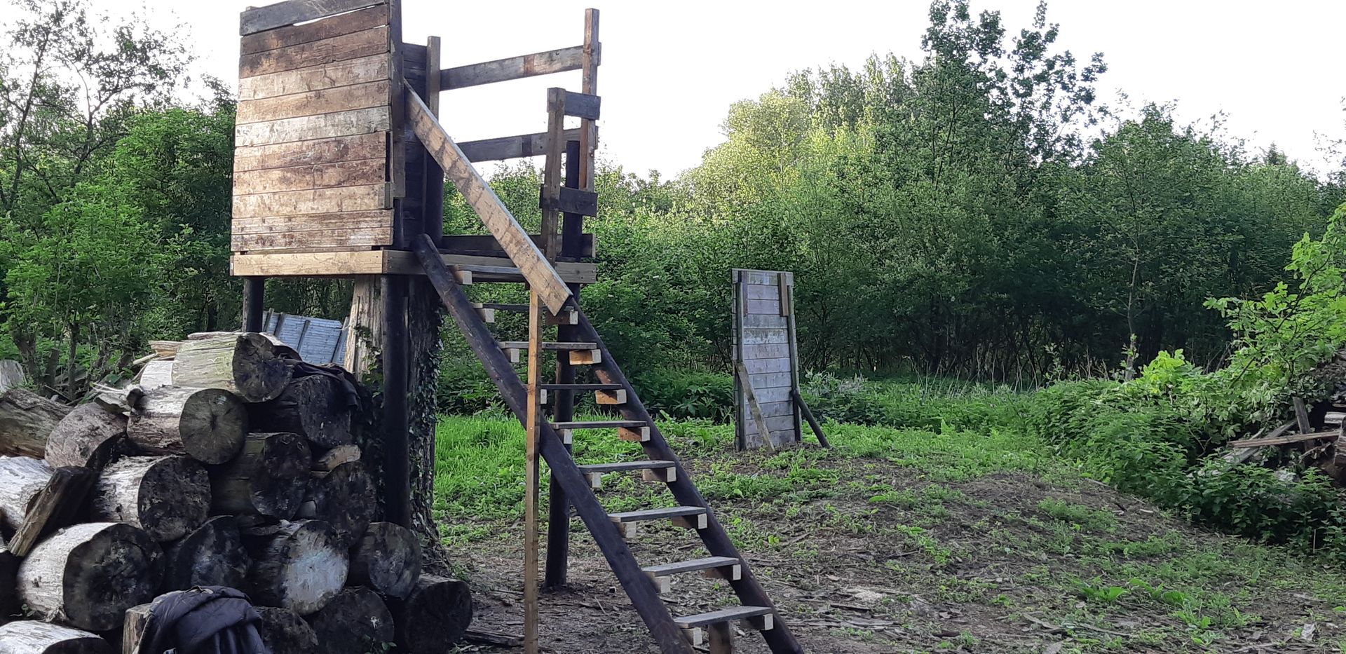 Un affût de chasse en bois avec une échelle, dans une zone boisée. Des bûches sont empilées à proximité.